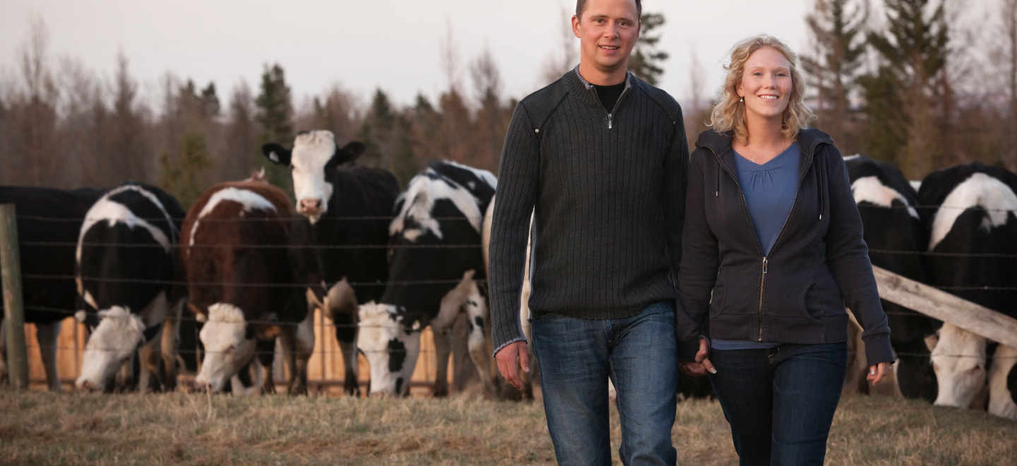 man and woman standing in front of cattle