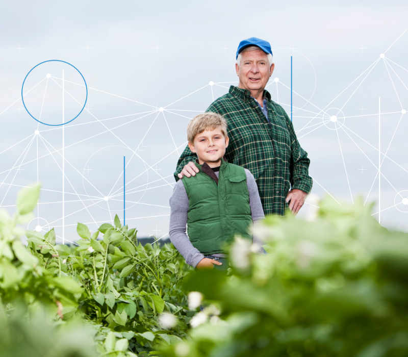 grandfather and grandson standing in crop field