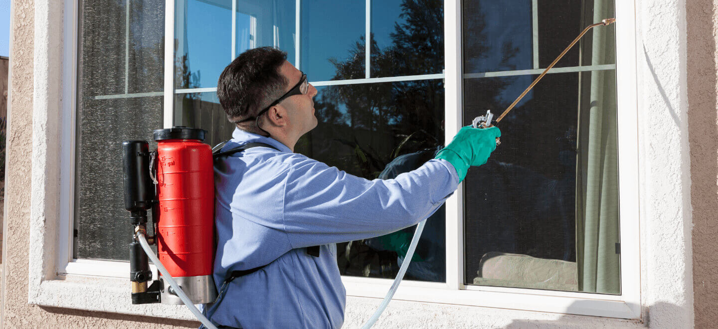 Pest Control tech spraying window